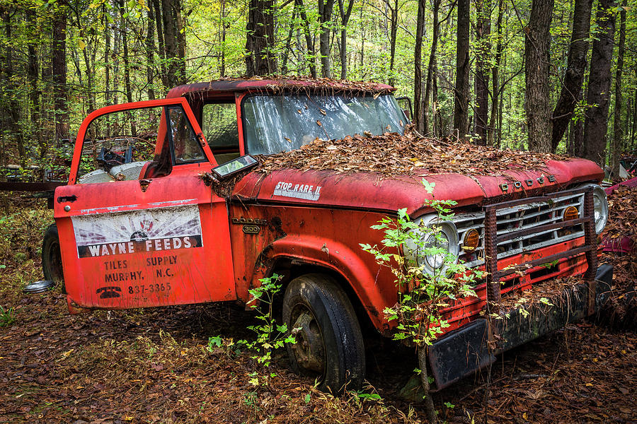 Hanging Out in the Woods Rusty Dodge Pickup Truck Photograph by Debra and Dave Vanderlaan