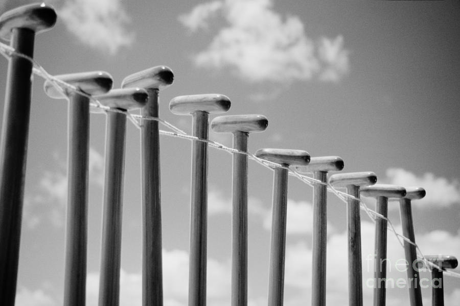 Hanging Paddles - BW Photograph by Joss - Printscapes