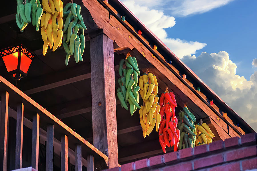Albuquerque Photograph - Hanging Peppers in Old Town Albuquerque New Mexico  by Gregory Ballos
