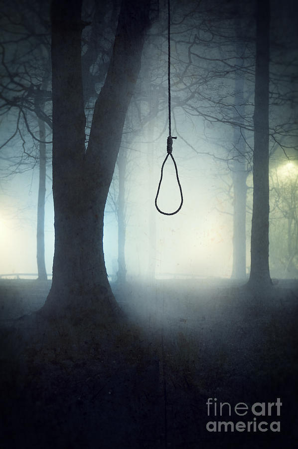 Hangmans Noose Hanging From A Tree In Fog Photograph by Lee Avison