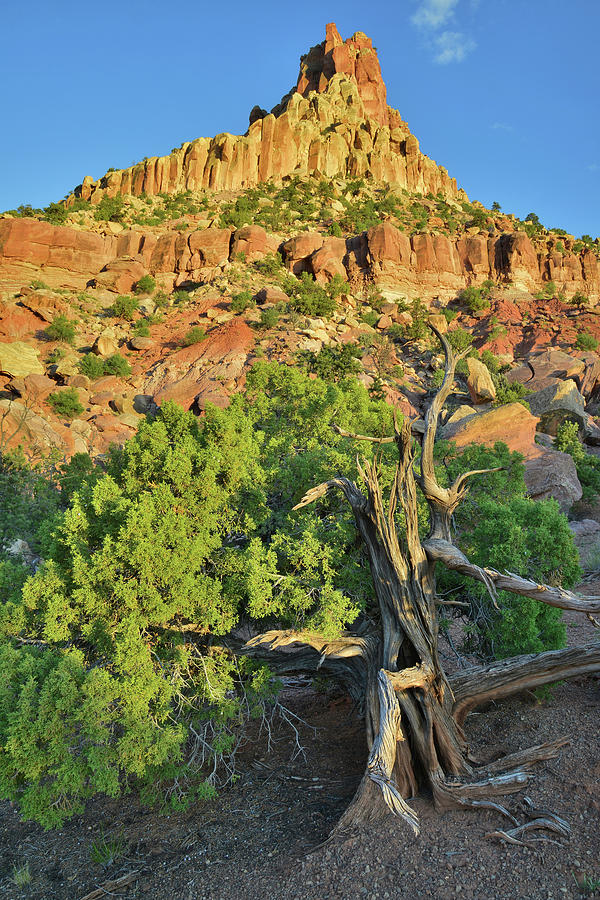 Capitol Reef National Park Photograph - Hanks Tower Sunset by Ray Mathis