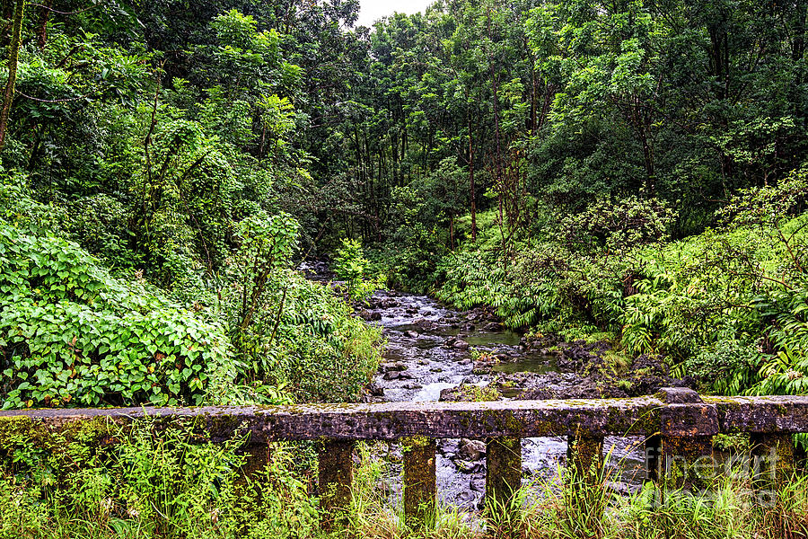 Hanna Road Creek Photograph by Baywest Imaging