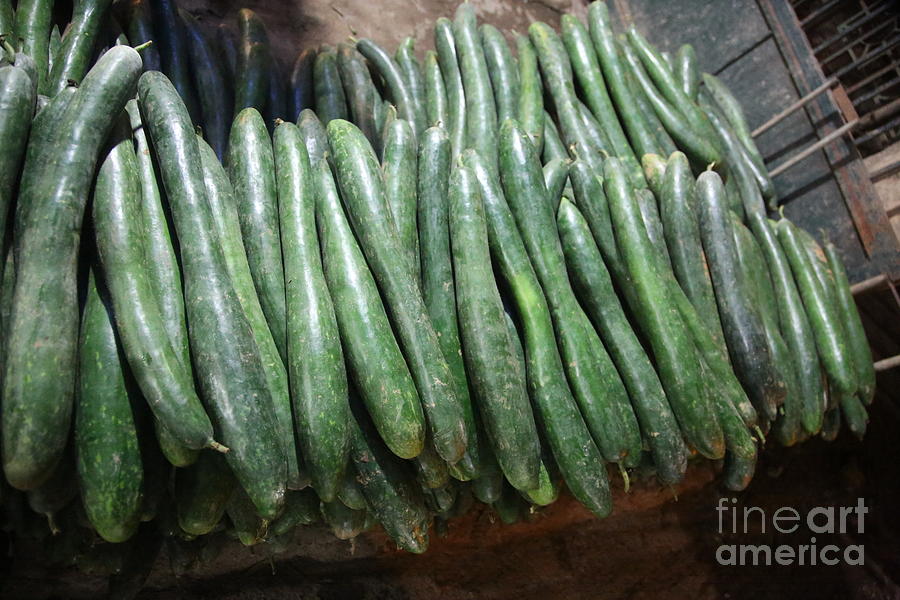 Hanoi Fresh Cucumbers  Photograph by Chuck Kuhn