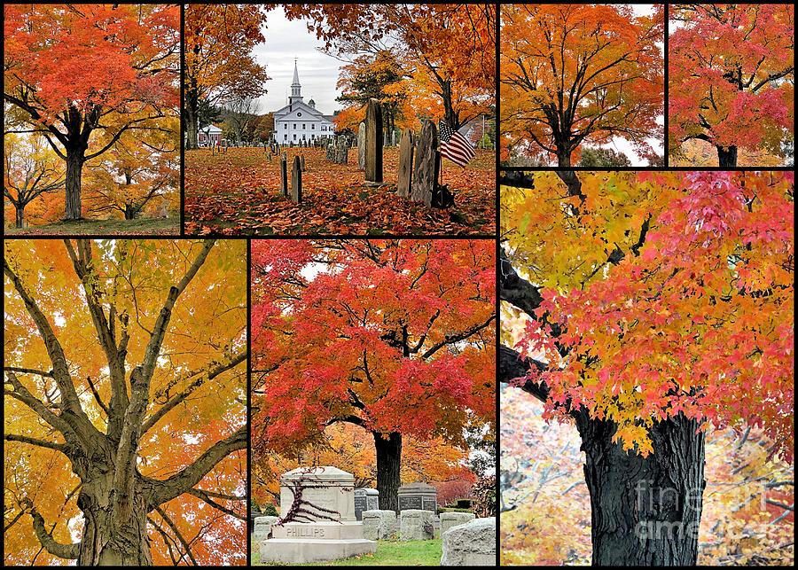 Fall Photograph - Hanover Cemetery by Janice Drew