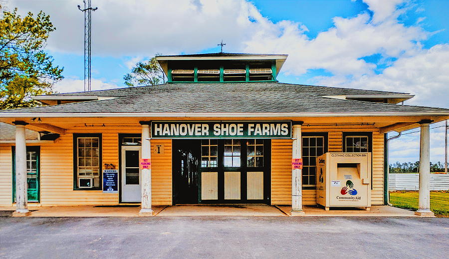 Hanover Shoe Farms  Photograph by Paul Kercher