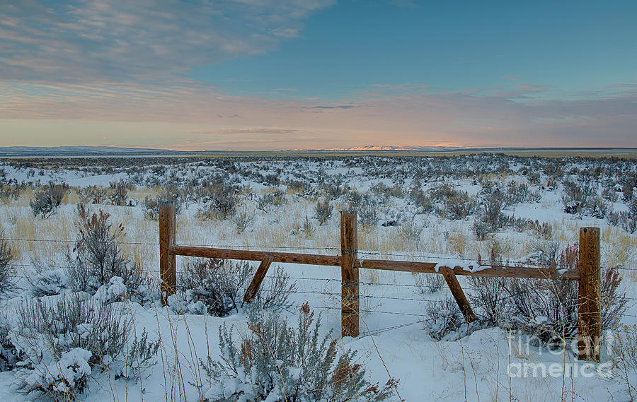 Hansen Winter Dawn Photograph by Idaho Scenic Images Linda Lantzy