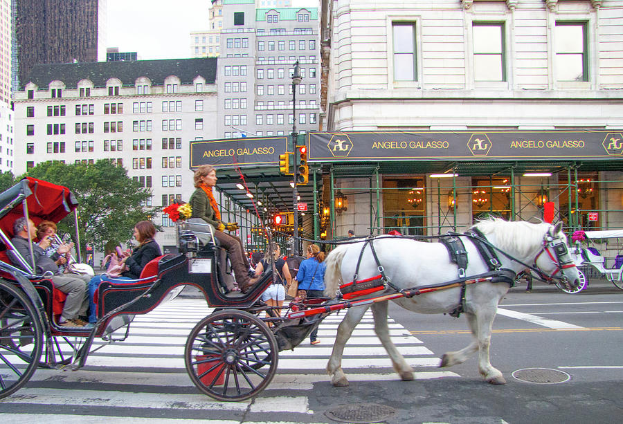 Hansom Cab New York Photograph by Wallace Bridges - Fine Art America