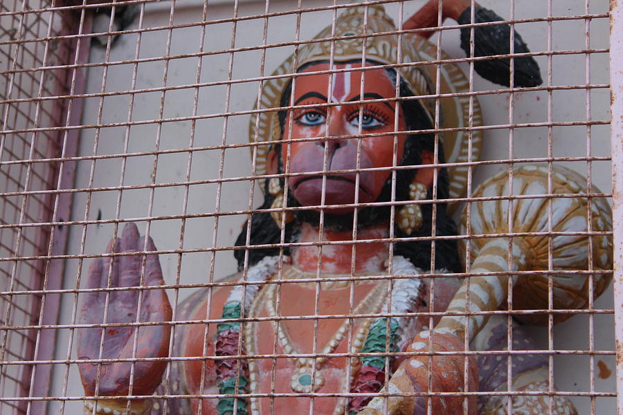Hanuman Ji Behind Bars, Vrindavan Photograph by Jennifer Mazzucco