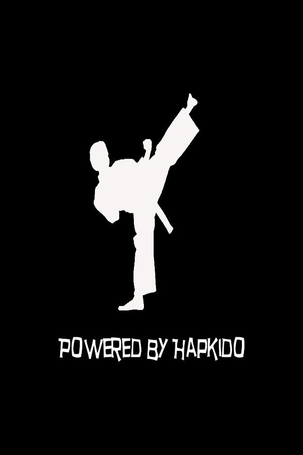 Hapkido  by Pat Cook