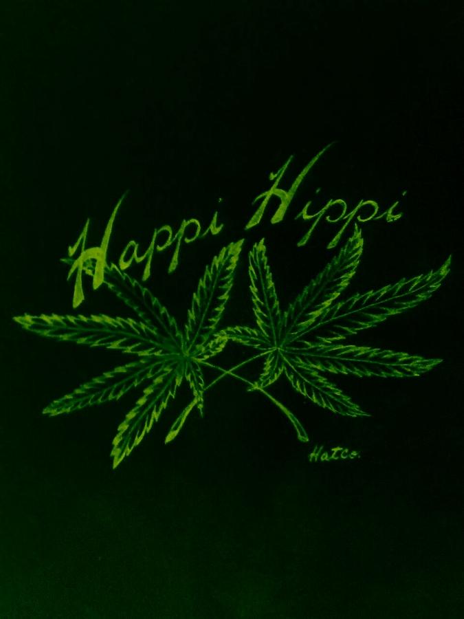 Happi Hippi Drawing by Wes Hartley Fine Art America