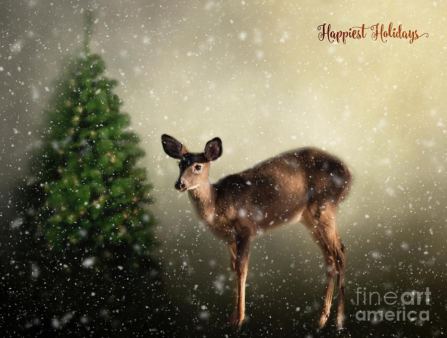 Happiest Holidays Photograph by Eva Lechner