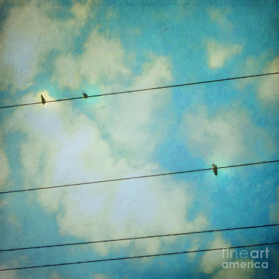 Swallow Photograph - Happiness by Priska Wettstein
