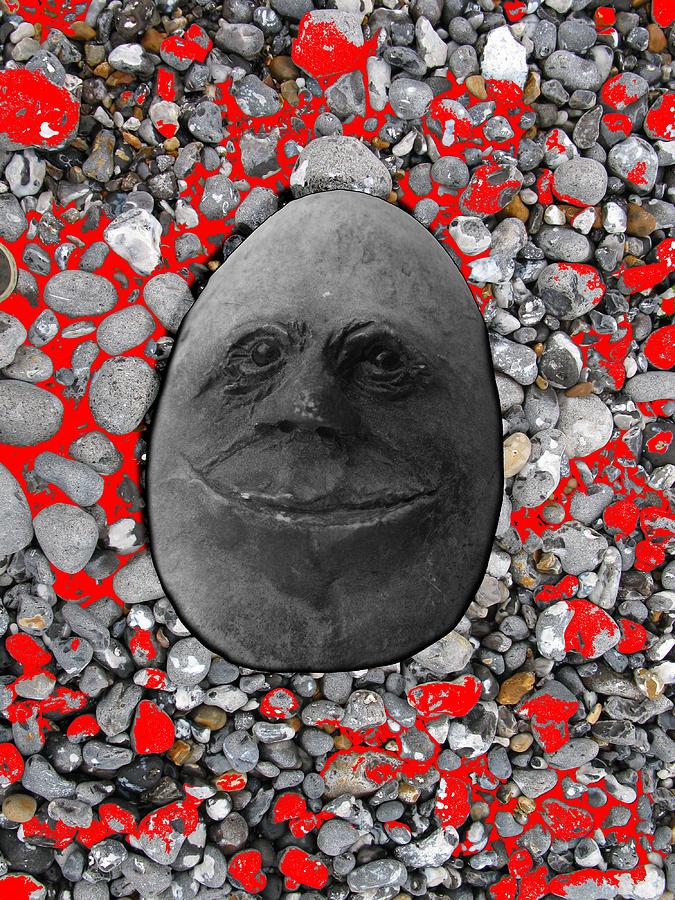 Happy Alien Monster Rock face , unusual stone grey Photograph by Tom Conway