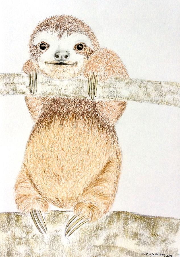 sloth happy napper