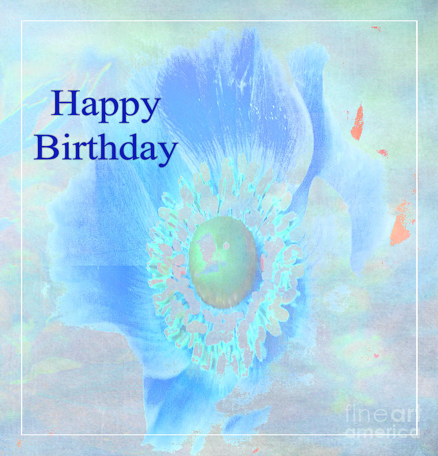 Flowers Still Life Photograph - Happy Birthday by Beverly Guilliams