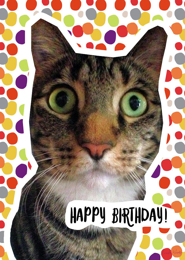 Cat Digital Art - Happy Birthday Cat- Art by Linda Woods by Linda Woods