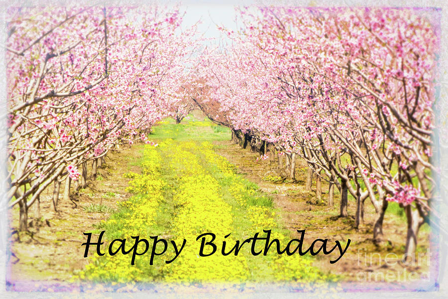 Happy Birthday Orchard Spring Photograph by Marilyn Cornwell
