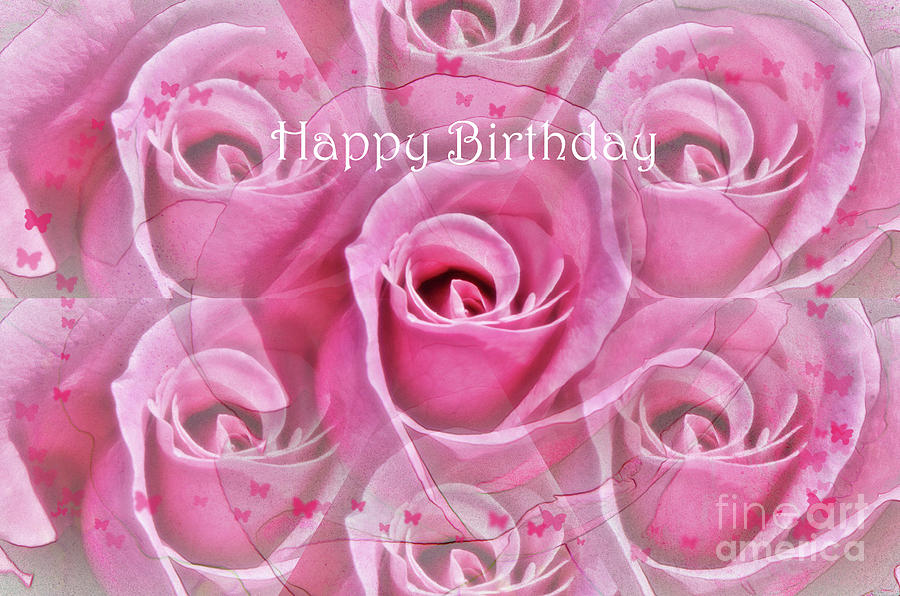 Happy Birthday Rose Card Photograph by Debby Pueschel