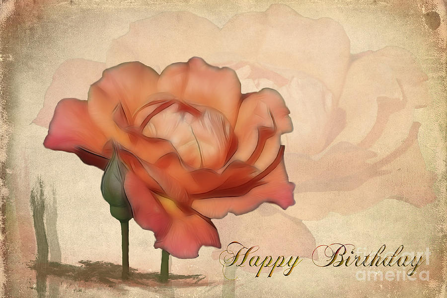 Happy Birthday Peach Rose Card Photograph by Teresa Zieba
