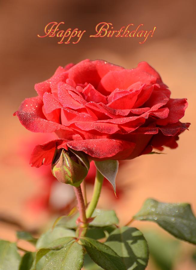 Happy+Birthday+Red+Roses  Happy birthday, Blooming rose, Happy birthday  messages