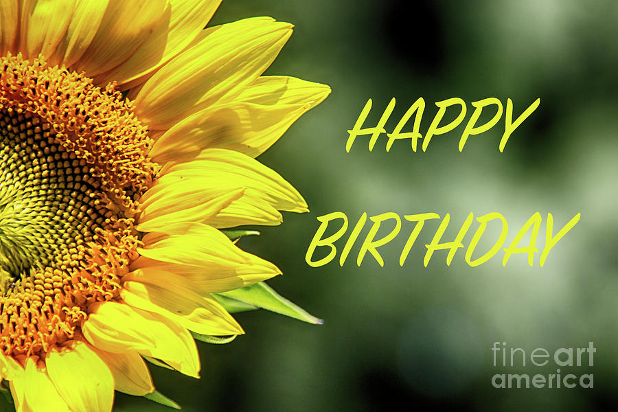 Happy Birthday Sunflowers Photograph by Tom Gari Gallery-Three ...