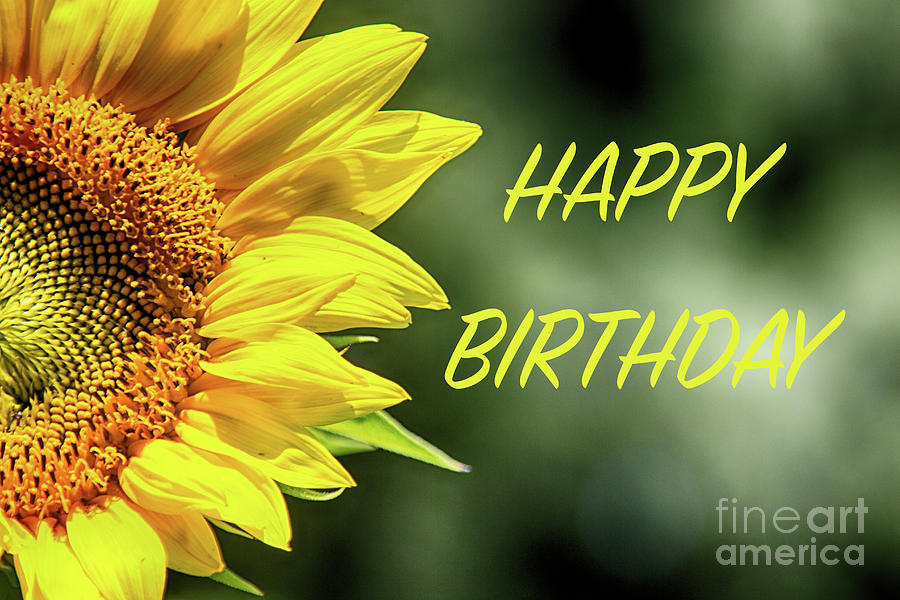 Happy Birthday Sunflowers Photograph by Tom Gari Gallery-Three