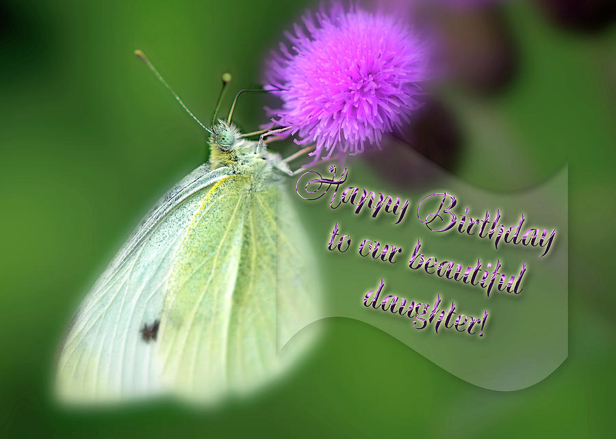 Butterfly Photograph - Happy Birthday To Our Beautiful Daughter - Cabbage White Butterfly by Carol Senske