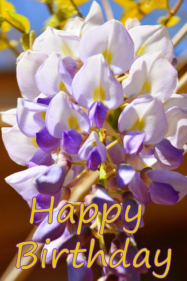 Happy Birthday Wisteria 2 Photograph by Lisa Wooten