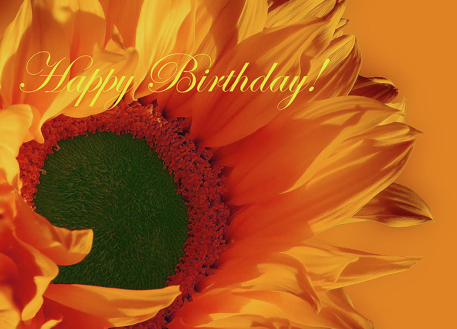 Happy Birthday With Sunflower Photograph by Johanna Hurmerinta