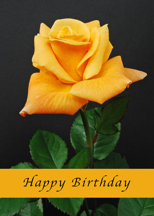 Rose Photograph - Happy Birthday Yellow Rose by Michael Peychich