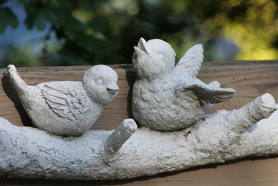 Happy Ceramic Birds Photograph by Valerie Collins
