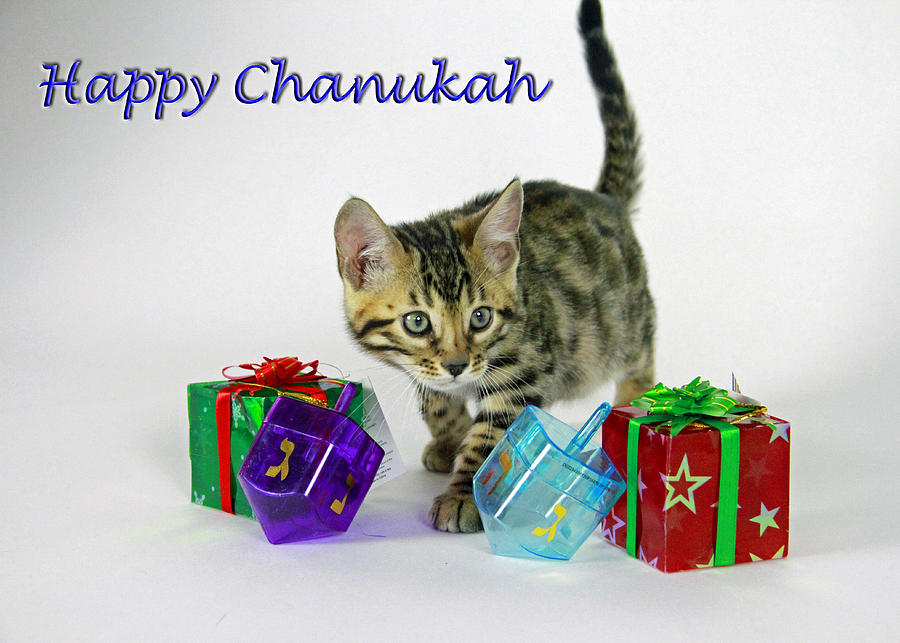Happy Chanukah Photograph