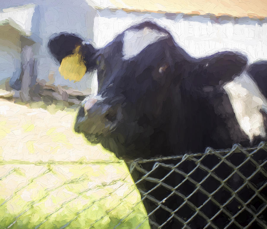 Happy Cow Digital Art by Cathy Anderson