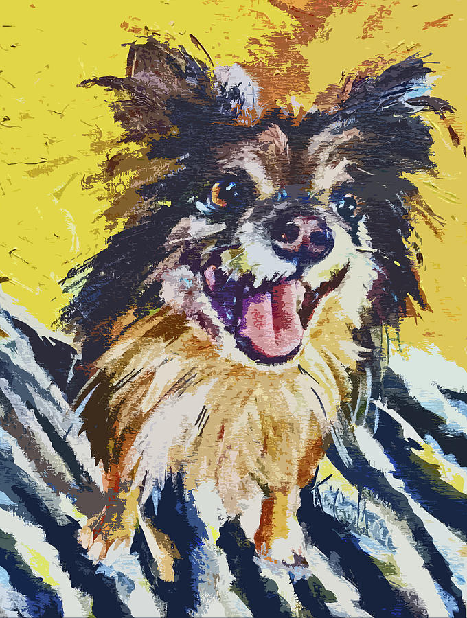 Dog Painting - Happy Dog Painting  by Kim Guthrie