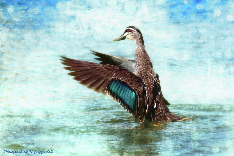 Happy duck 06 Digital Art by Kevin Chippindall