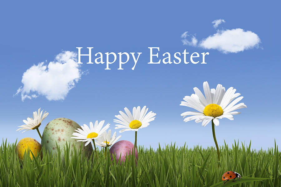Happy Easter Photograph - Happy Easter by Gillian Dernie Happy Easter Photograph - Happy Easter by Gillian Dernie