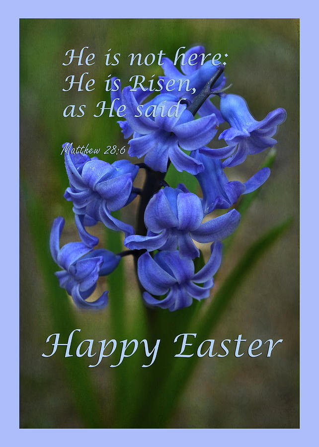 Happy Easter Hyacinth Photograph by Ann Bridges