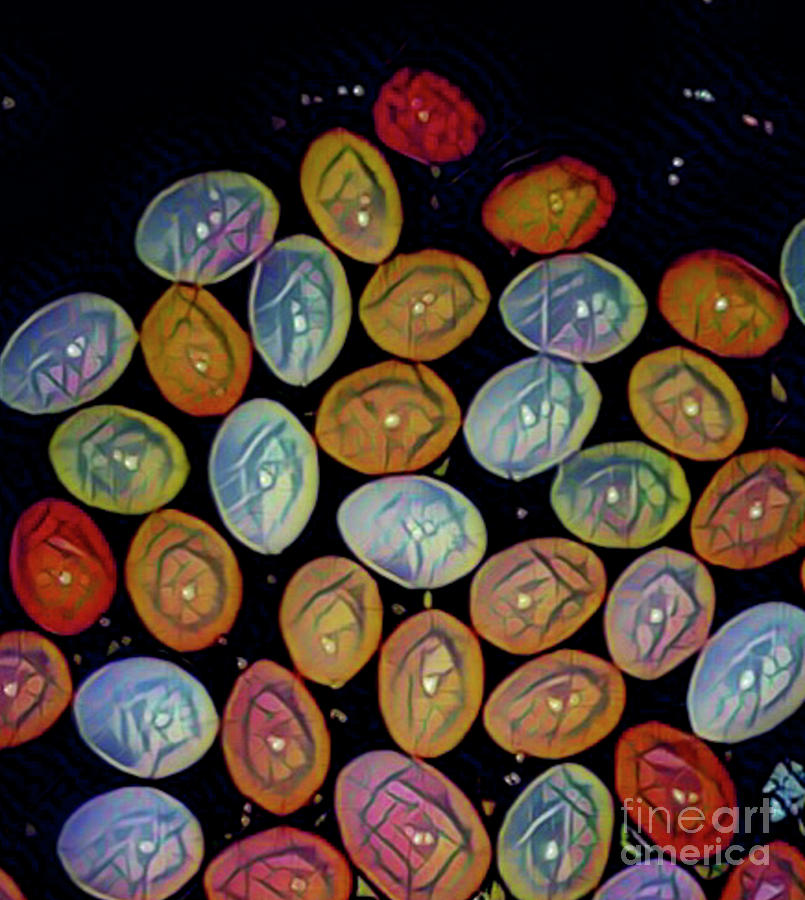 Egg Digital Art - Happy Eggs by Jackie MacNair