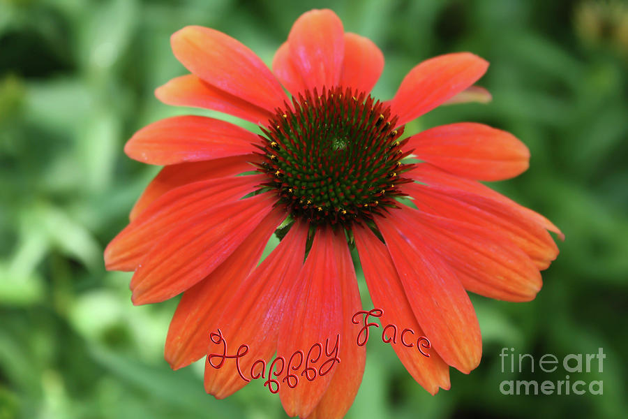 Happy Face Flower Photograph by Barbara Dean