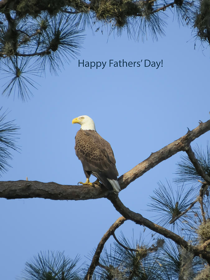 Happy Father's Day Photograph by Zina Stromberg - Pixels