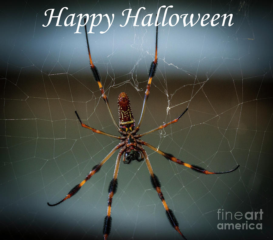 Happy Halloween Photograph by Dale Powell