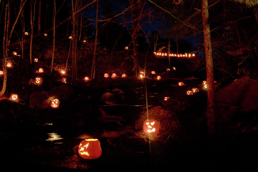 Fall Photograph - Happy Halloween pumpkin glow by Jeff Folger