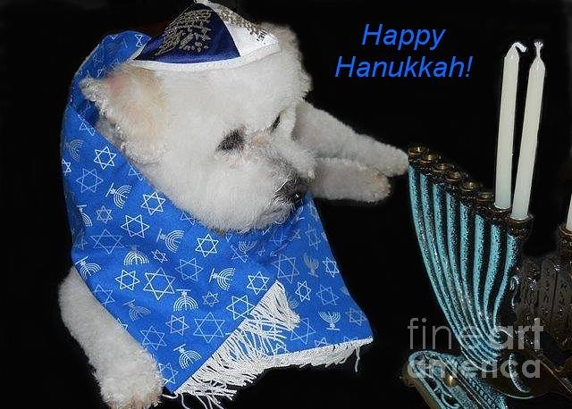 Happy Hanukkah Photograph by Barbie Corbett-Newmin
