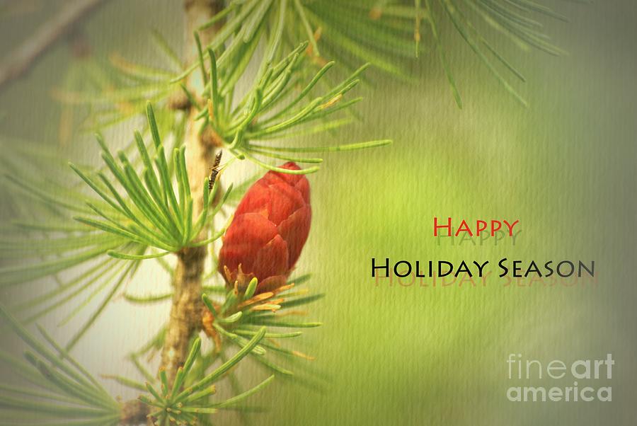 Nature Photograph - Happy Holiday Season Card by Aimelle Ml