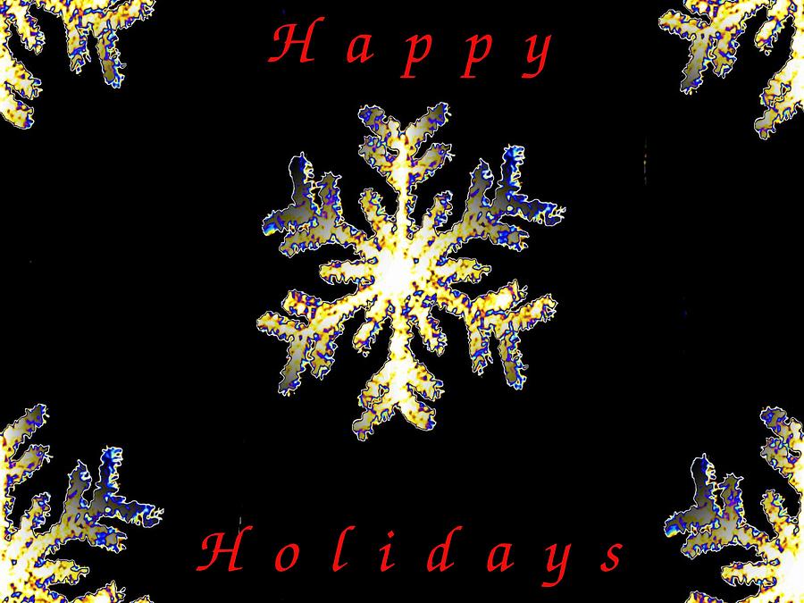 Happy Holiday Snowflakes Photograph by Tim Allen