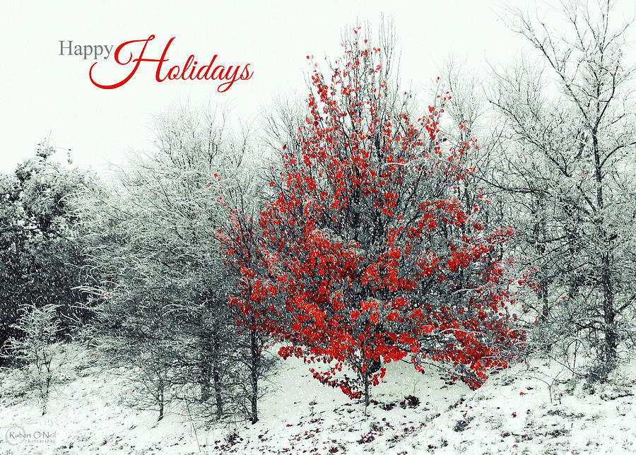 Happy Holidays Photograph by Robert ONeil