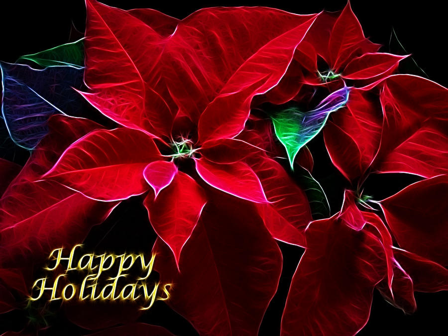 Happy Holidays Photograph by Sandy Keeton