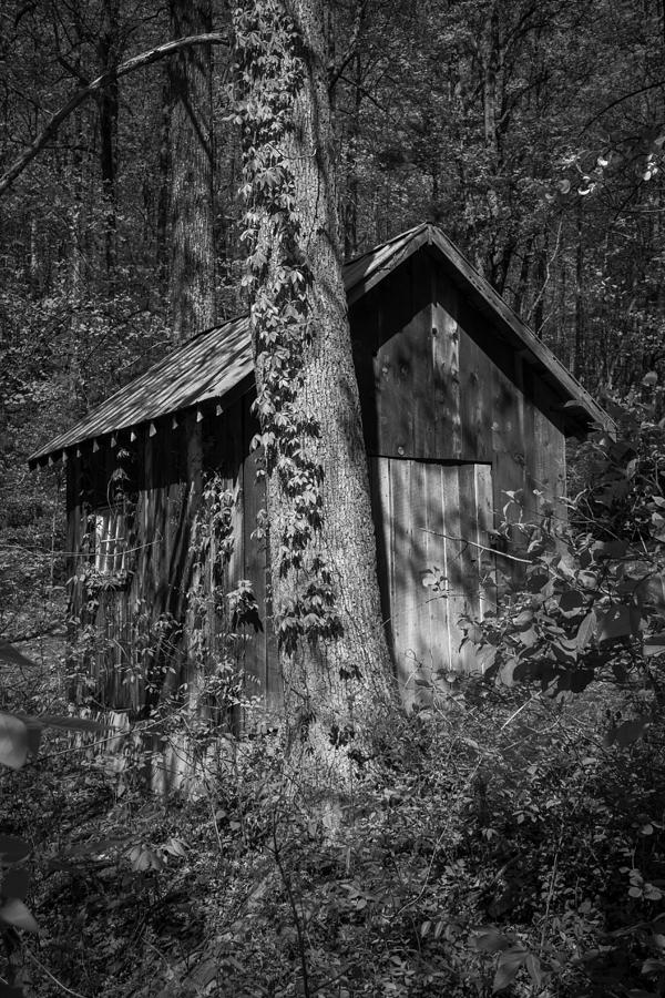Spring Photograph - Happy Hollow Shed B W by Teresa Mucha