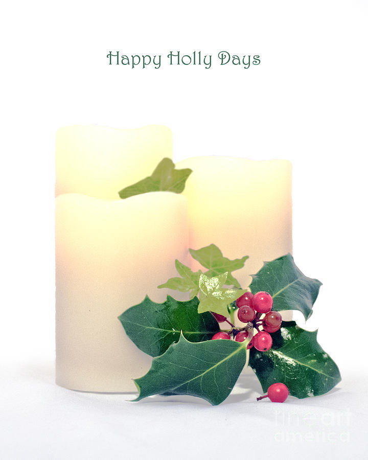 Christmas Photograph - Happy Holly Days by Terri Waters