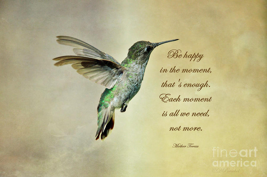 Hummingbird Photograph - Happy in the Moment by Debby Pueschel